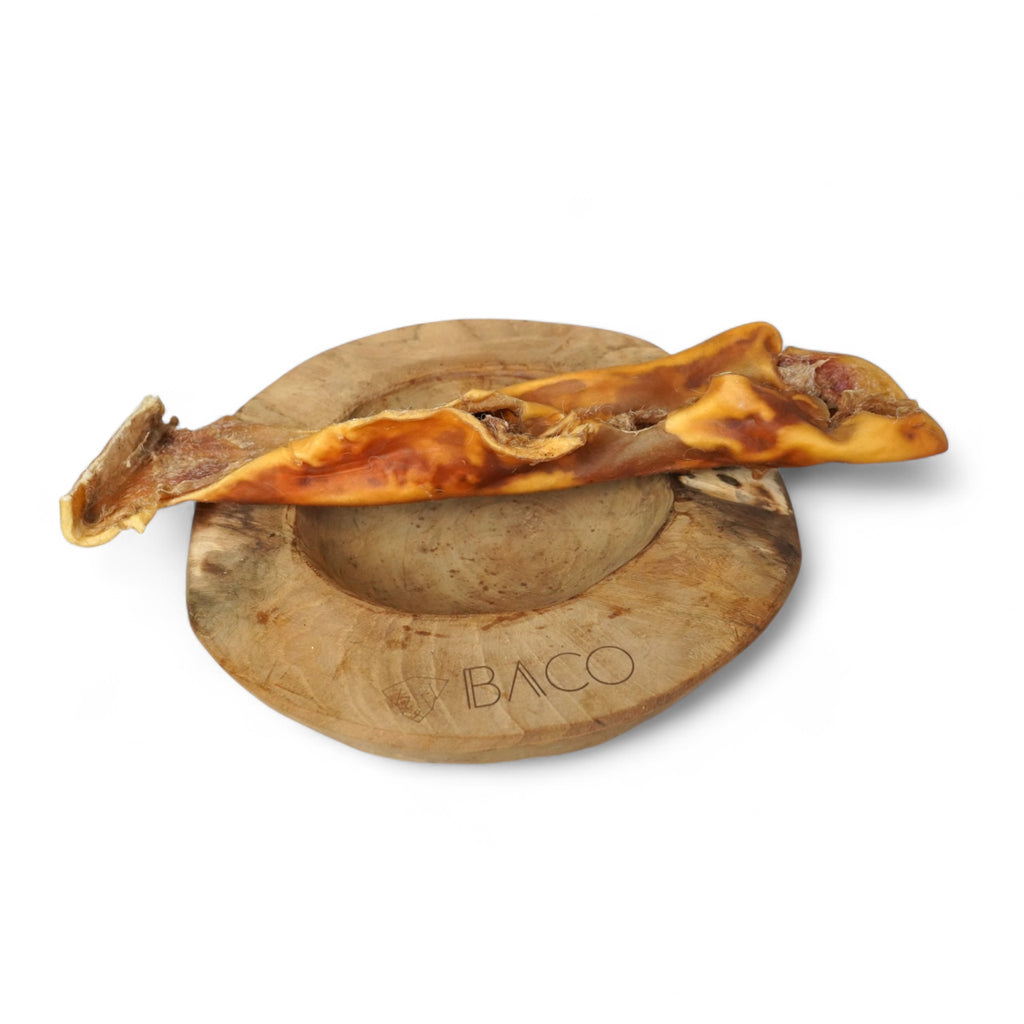 BACO DOG GEAR