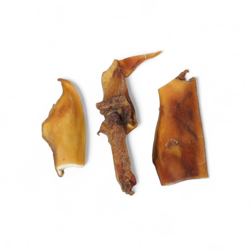 BACO DOG GEAR