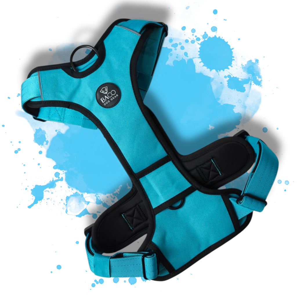 BACO DOG GEAR
