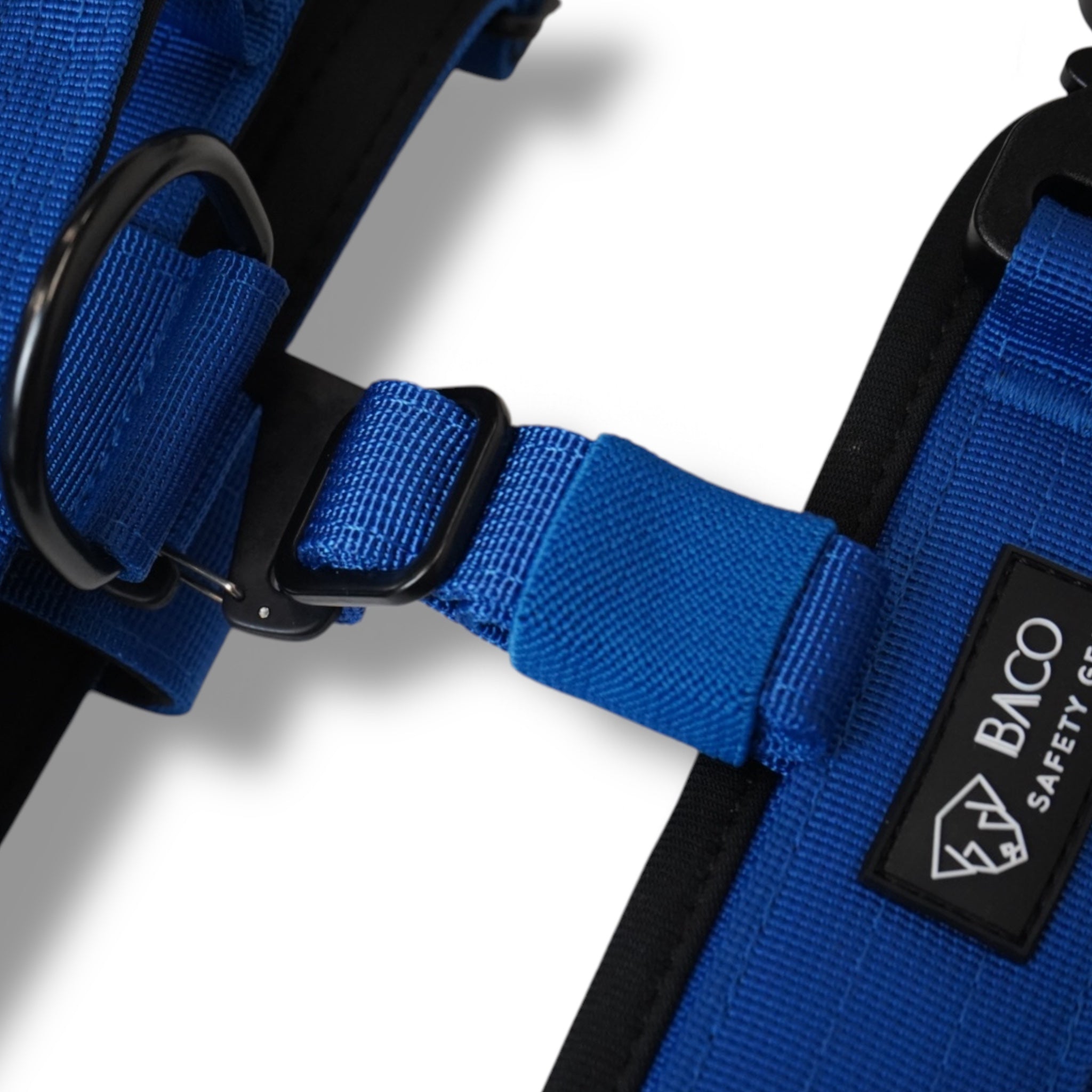 BACO DOG GEAR
