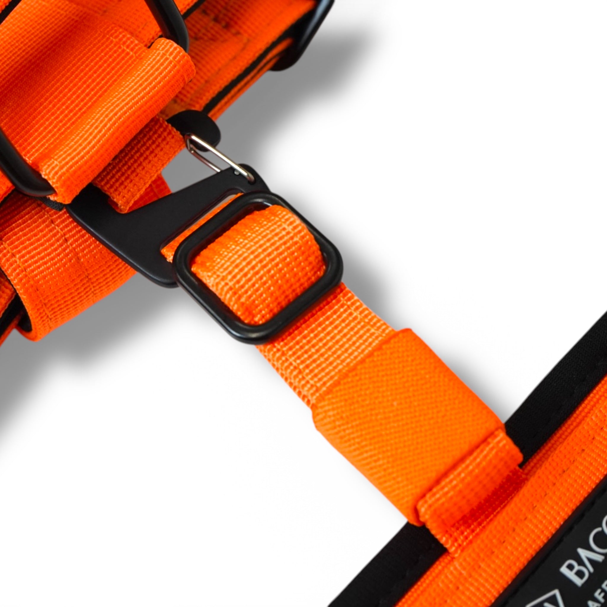 BACO DOG GEAR