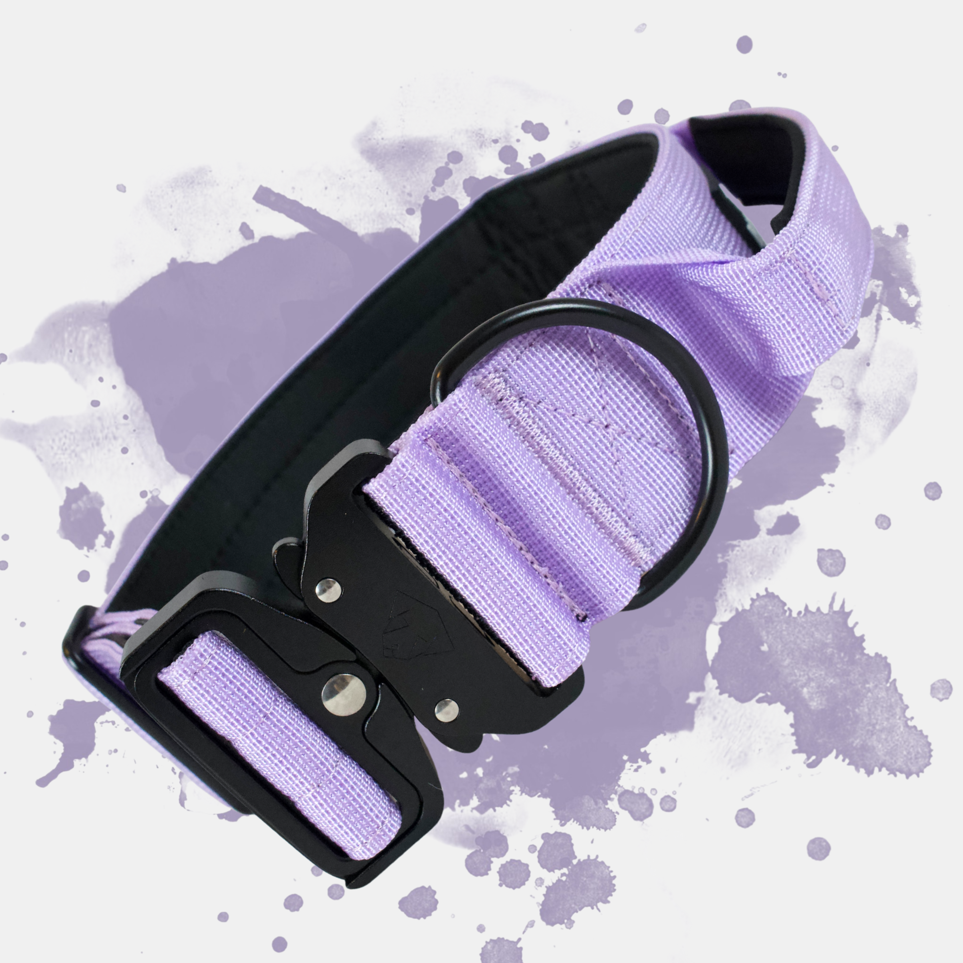 Hundehalsband BACO Flieder 2.0 XL | 5cm