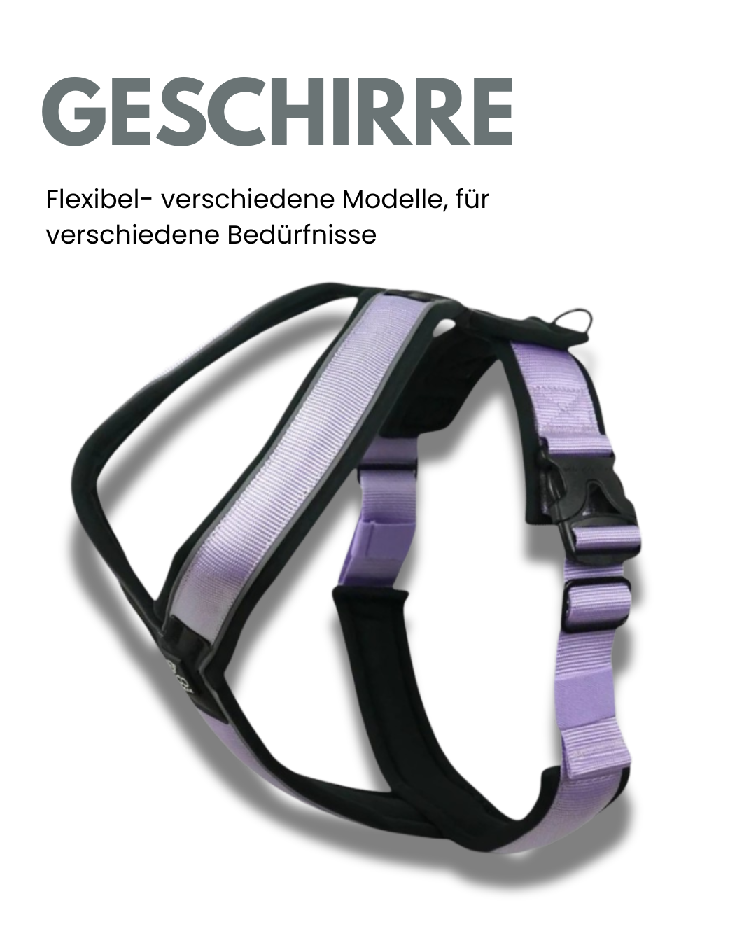 kinderfahrrad 4 jahre zoll ACADEMY Grade 4 Belt (2026) | 20 Zoll Kinderfahrrad | Ocean