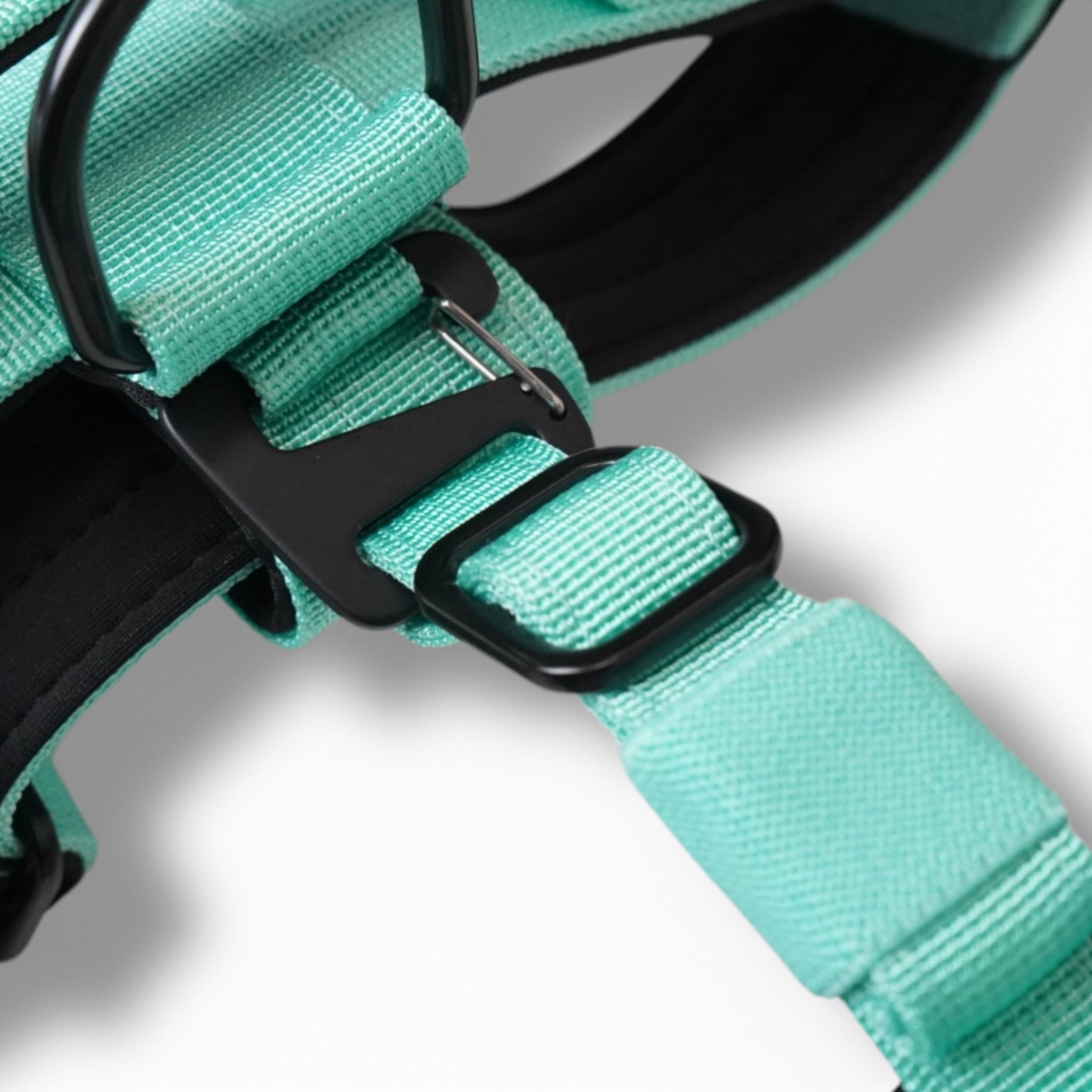 BACO DOG GEAR