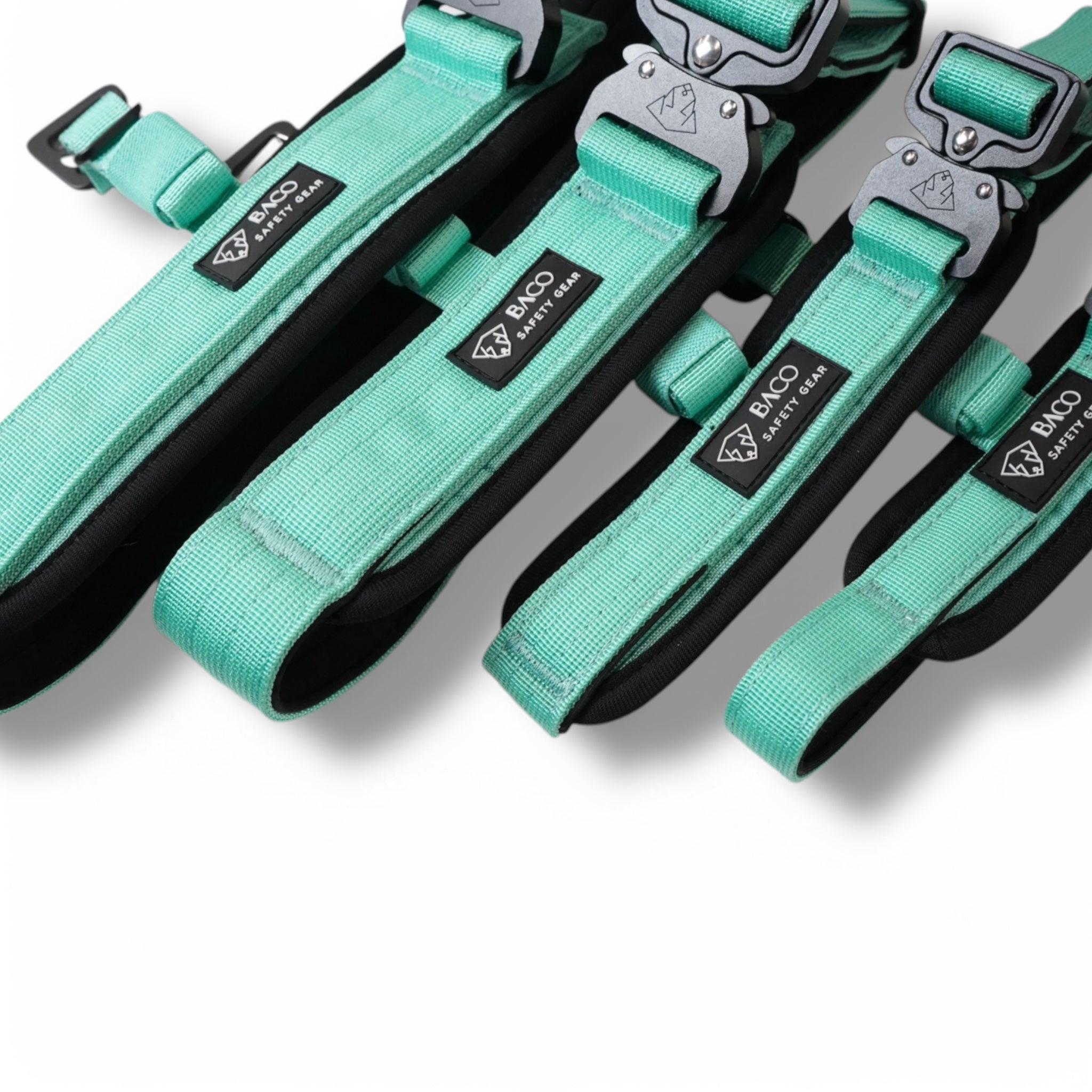 BACO DOG GEAR