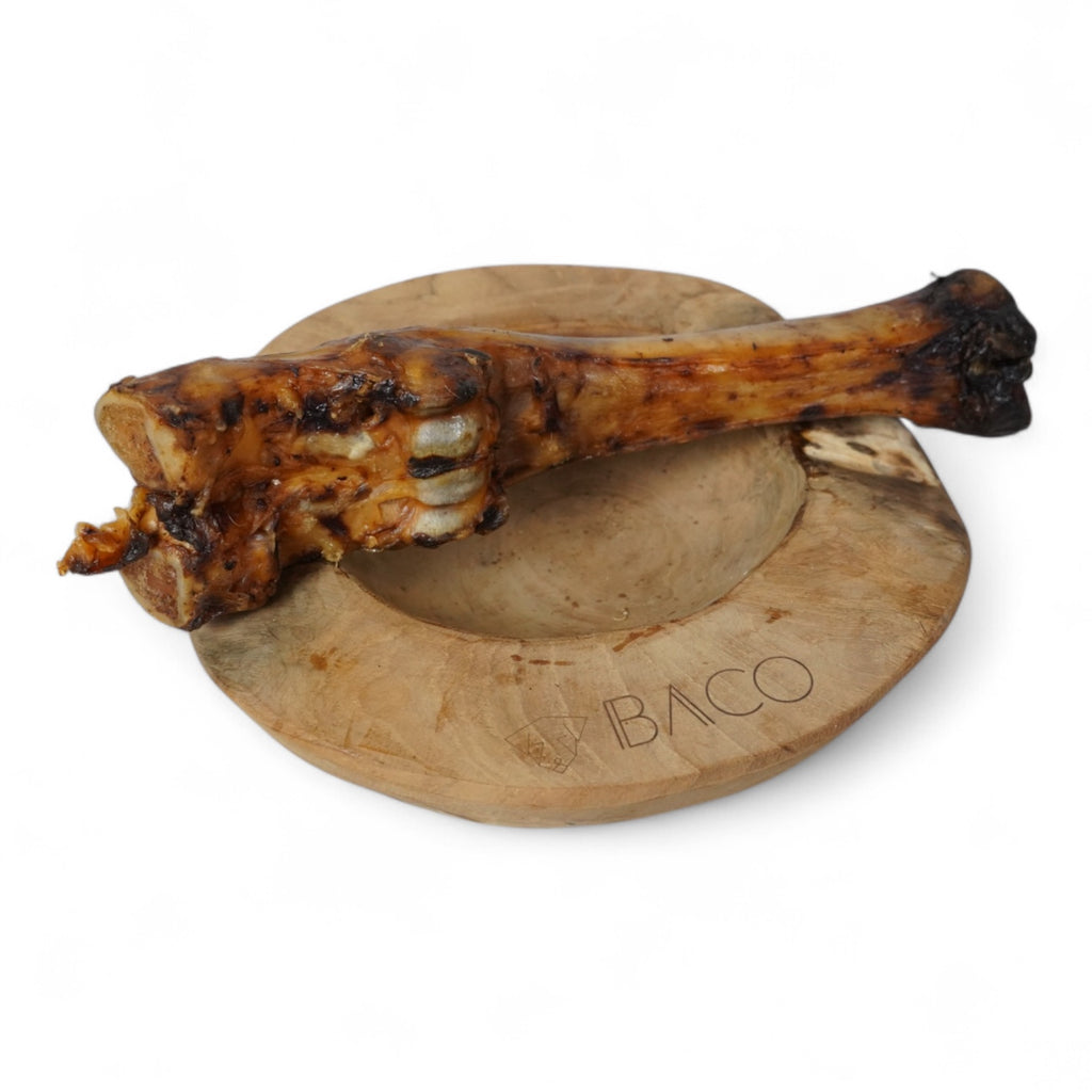 BACO DOG GEAR