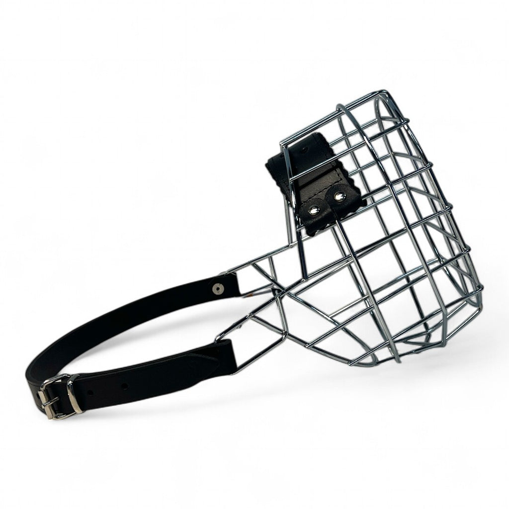 BACO DOG GEAR
