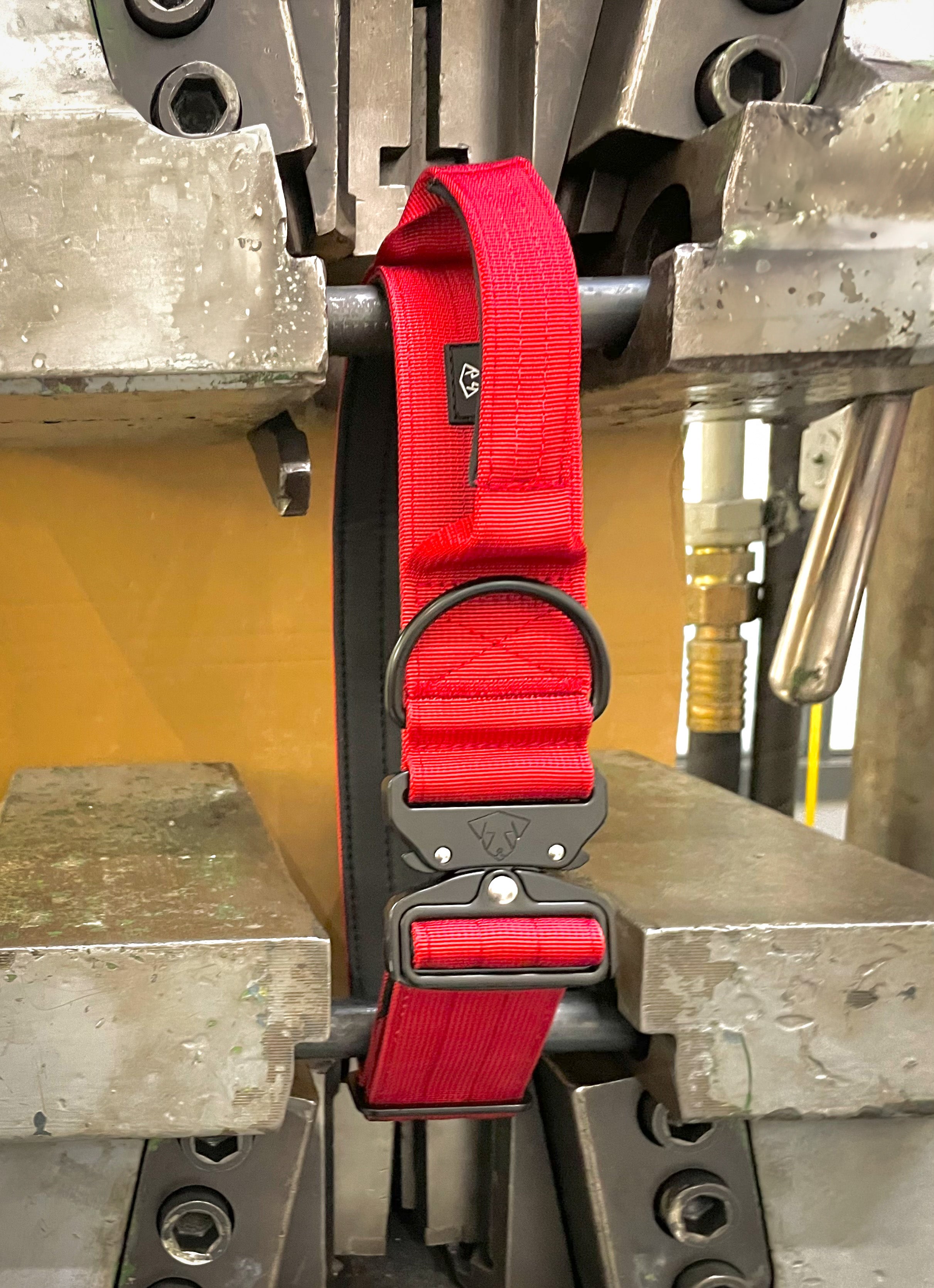 BACO DOG GEAR