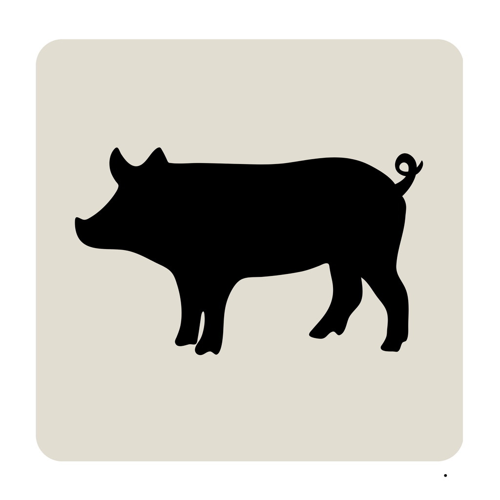 BACO DOG GEAR