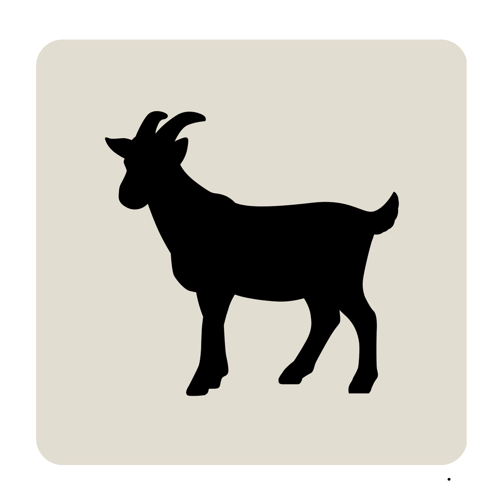 BACO DOG GEAR