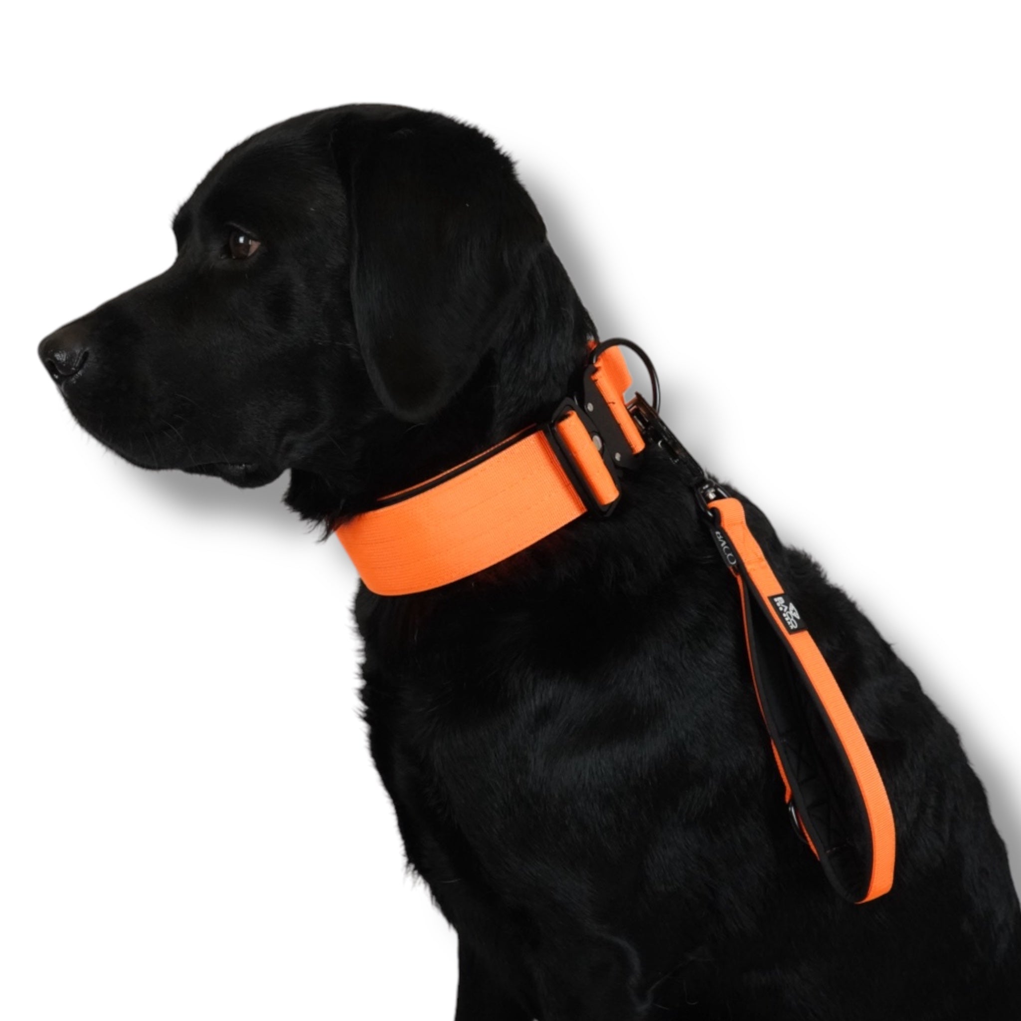 BACO DOG GEAR
