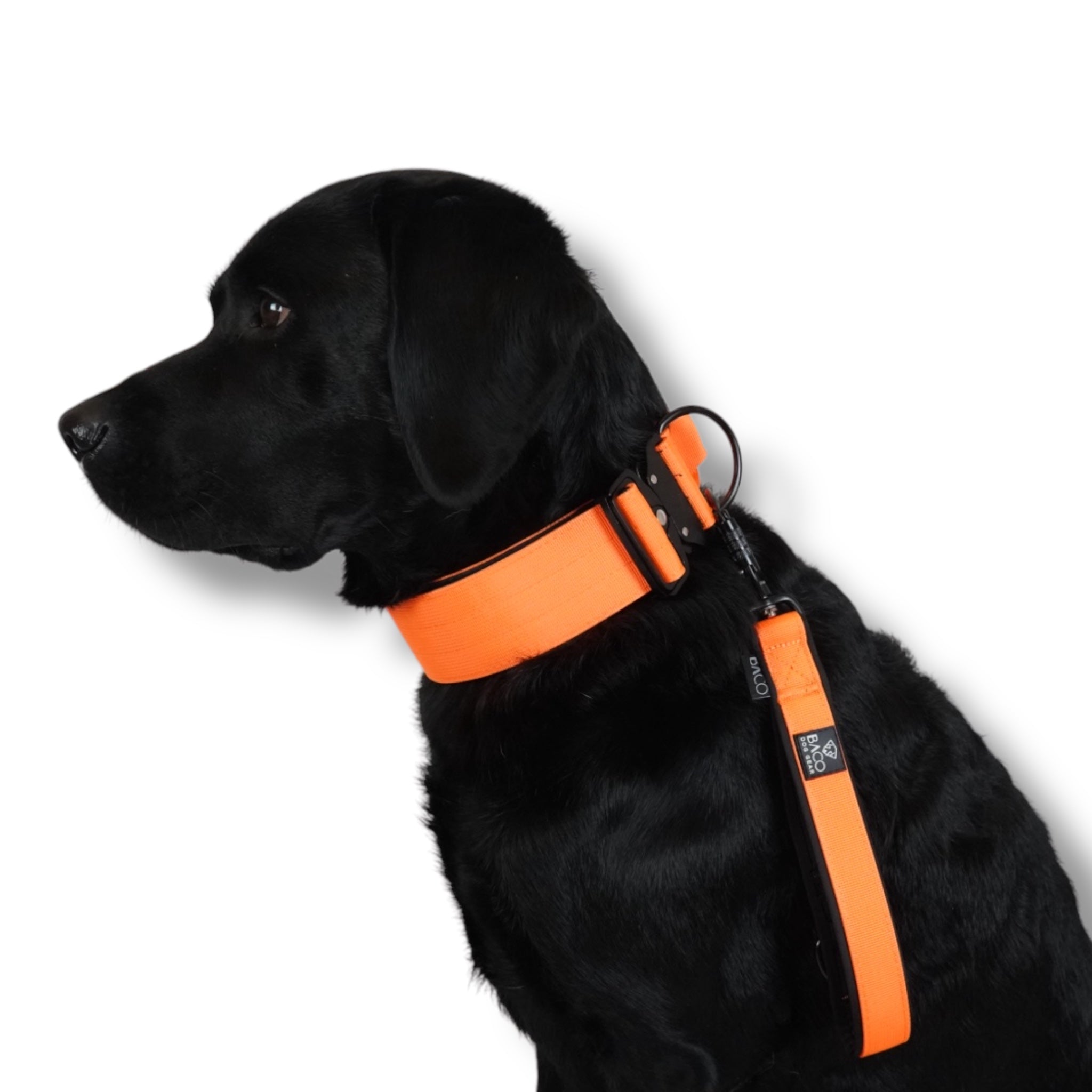 BACO DOG GEAR