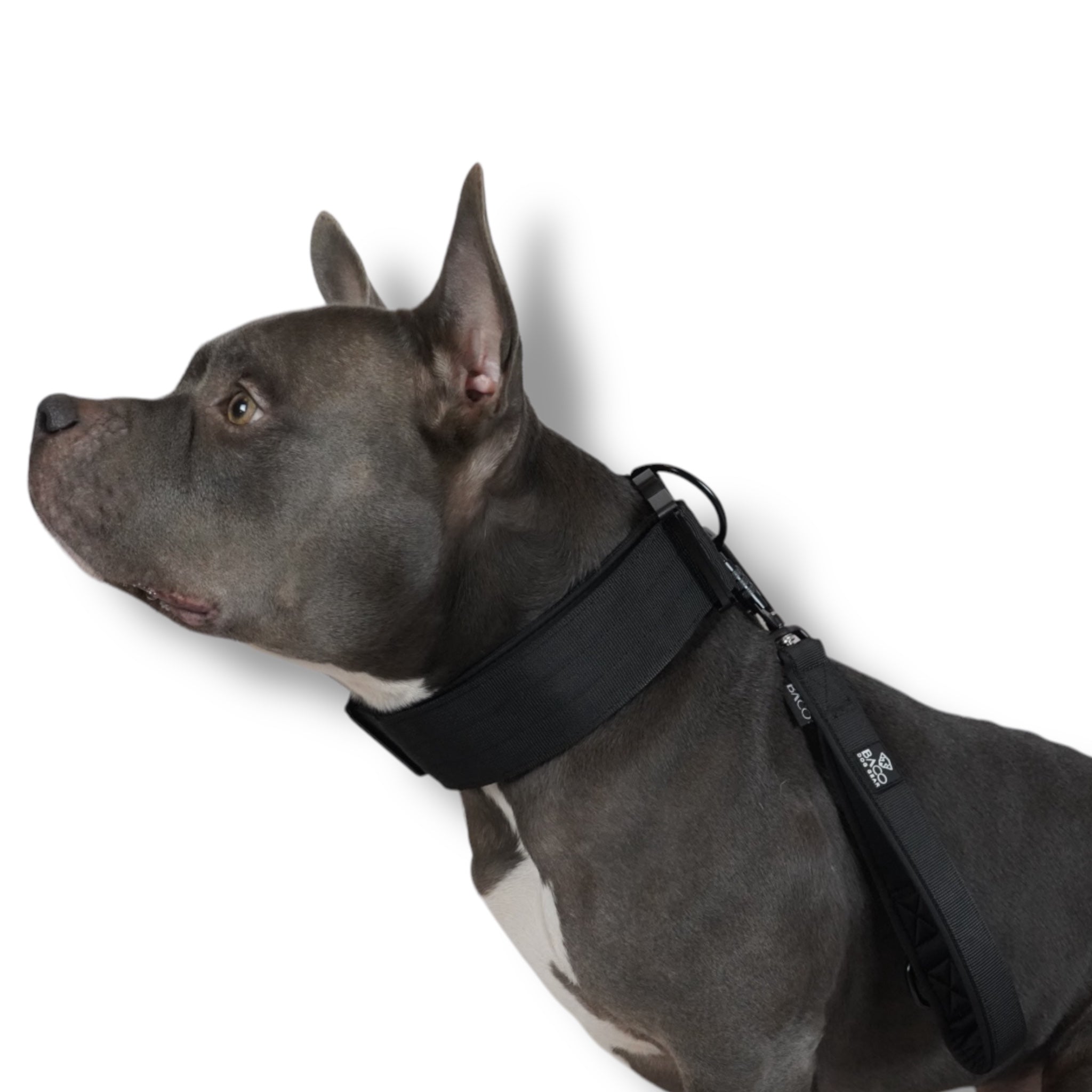 BACO DOG GEAR