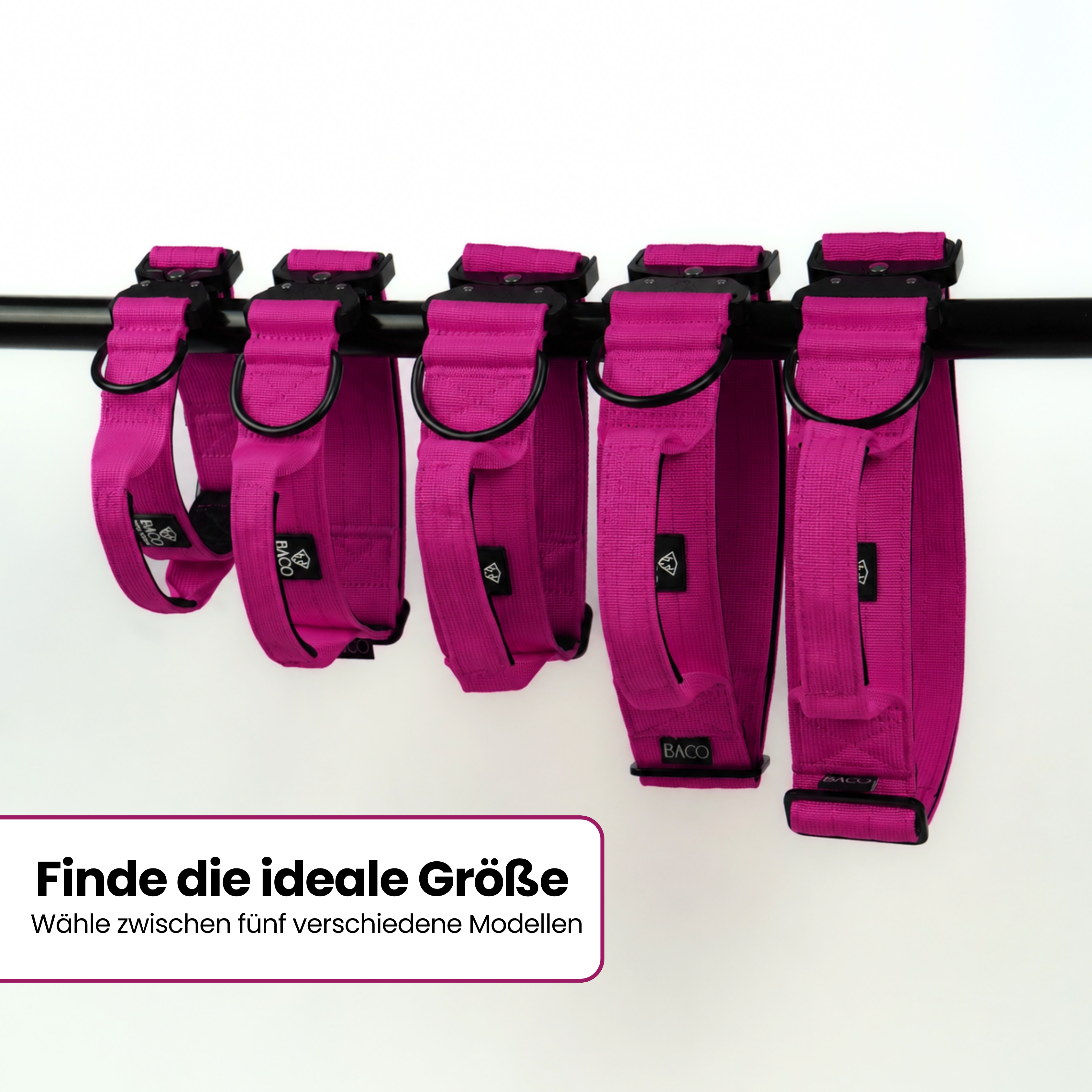 Hundehalsband BACO Magenta L | 5cm