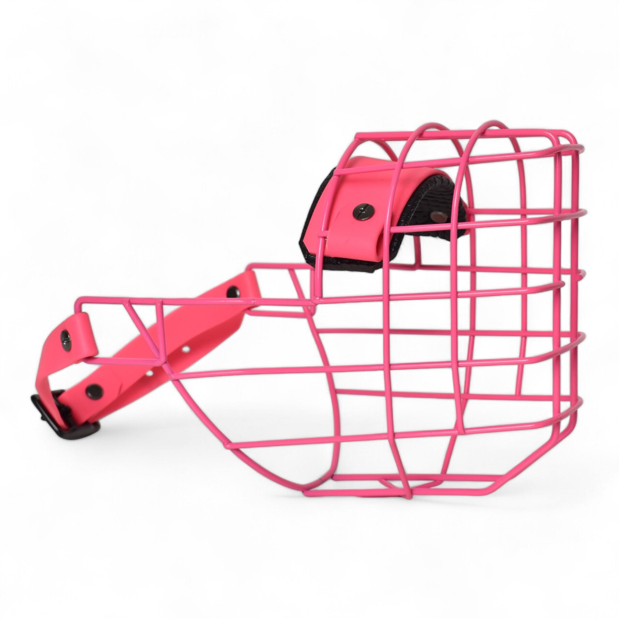 BACO DOG GEAR