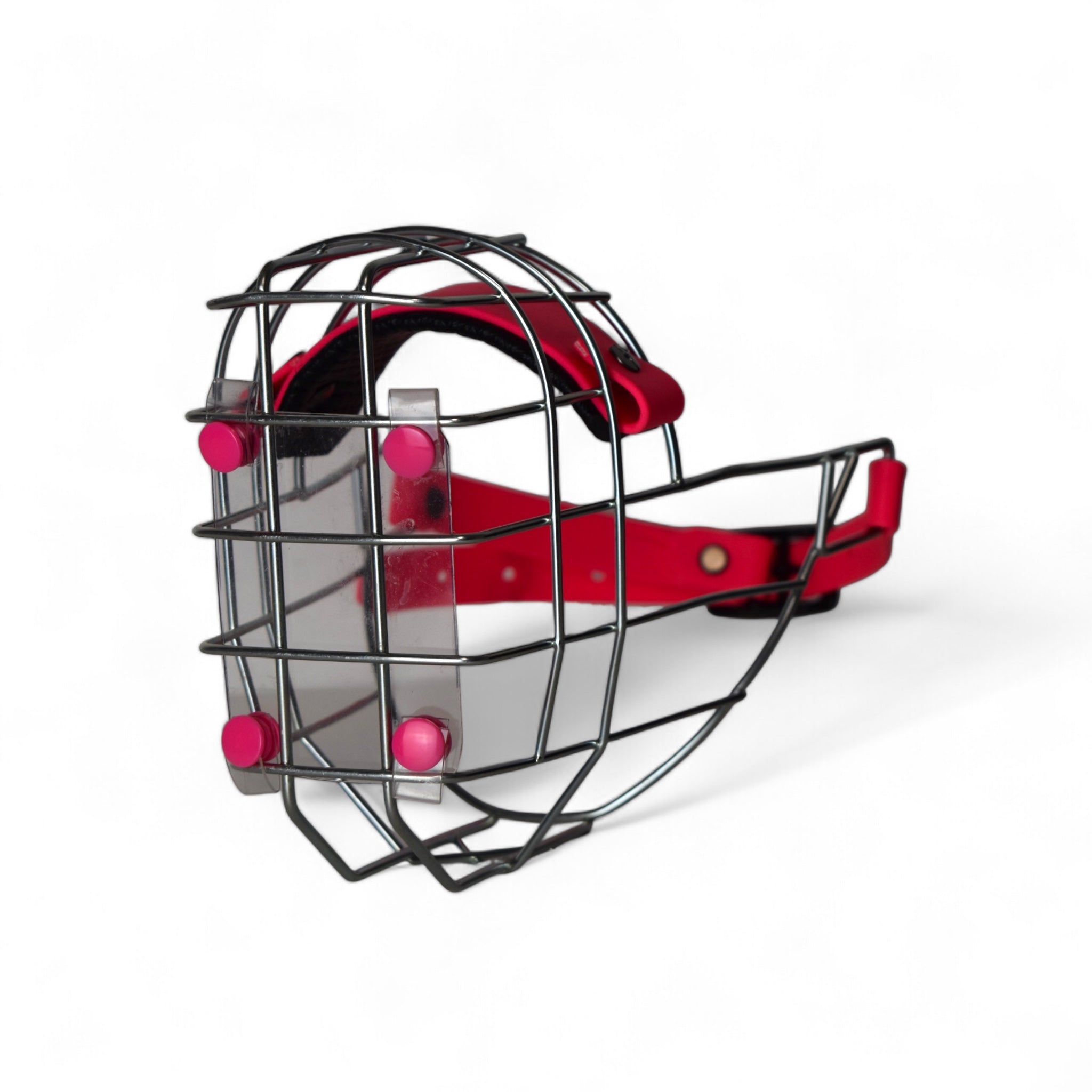 BACO DOG GEAR