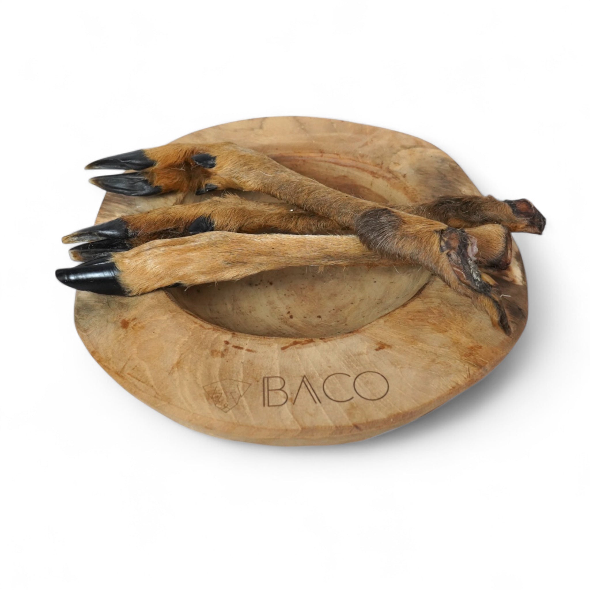 BACO DOG GEAR