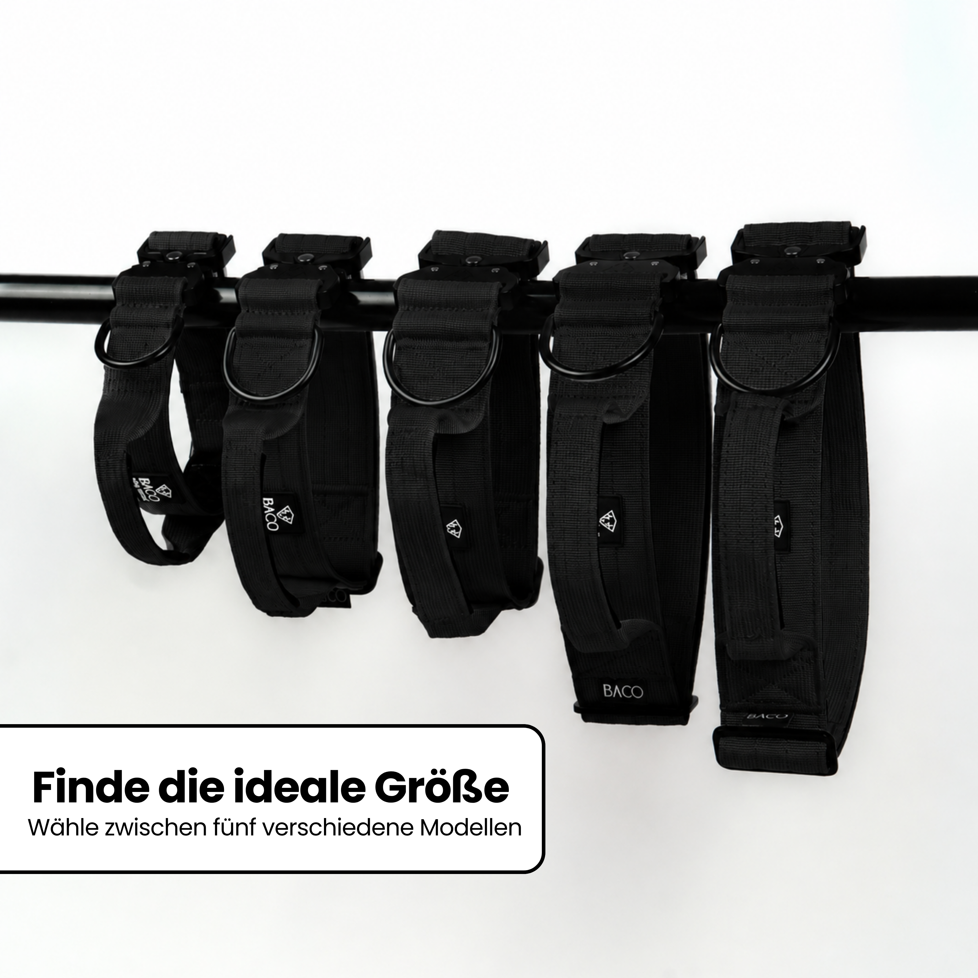 Hundehalsband BACO Schwarz 2.0 M extra breit | 5 cm