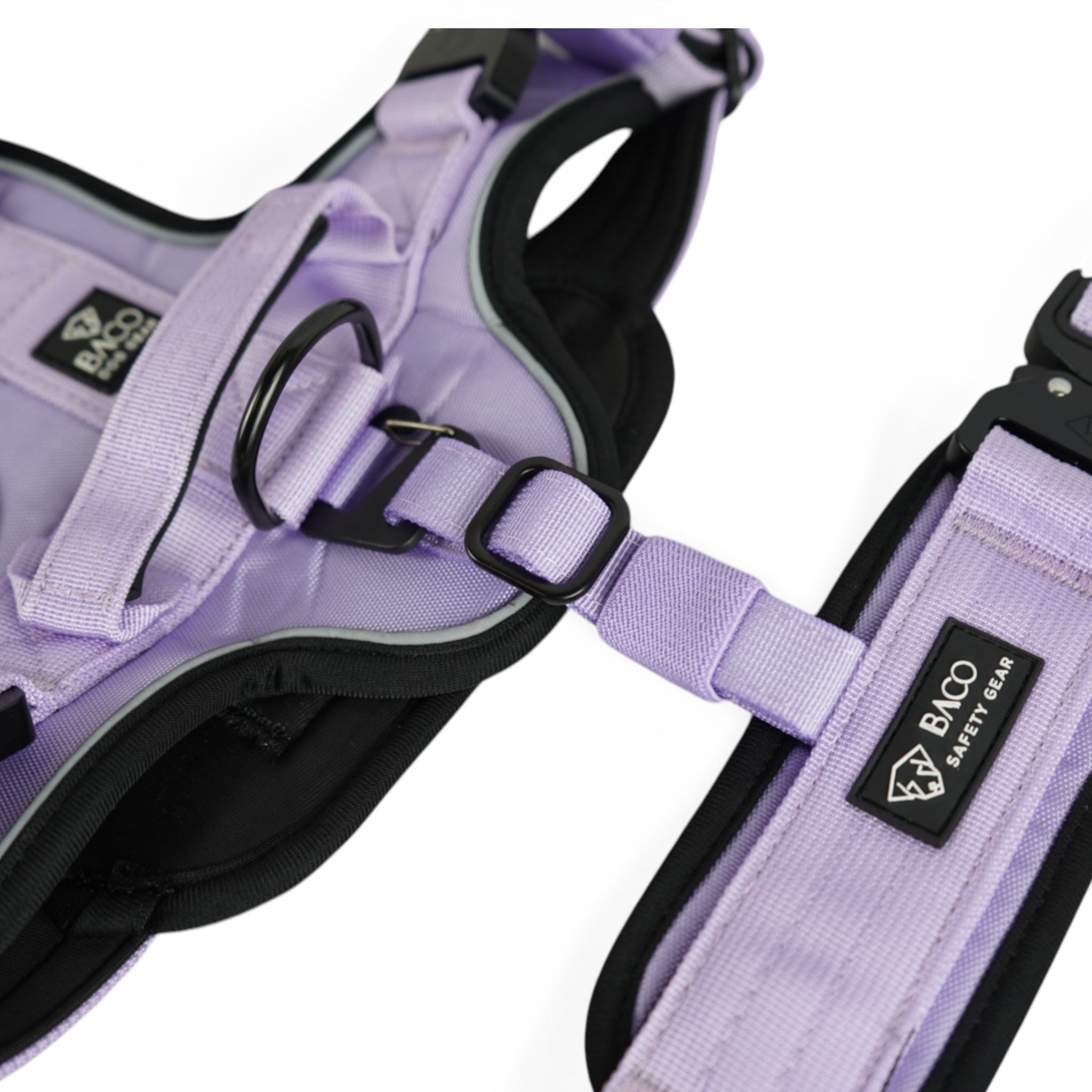 BACO DOG GEAR
