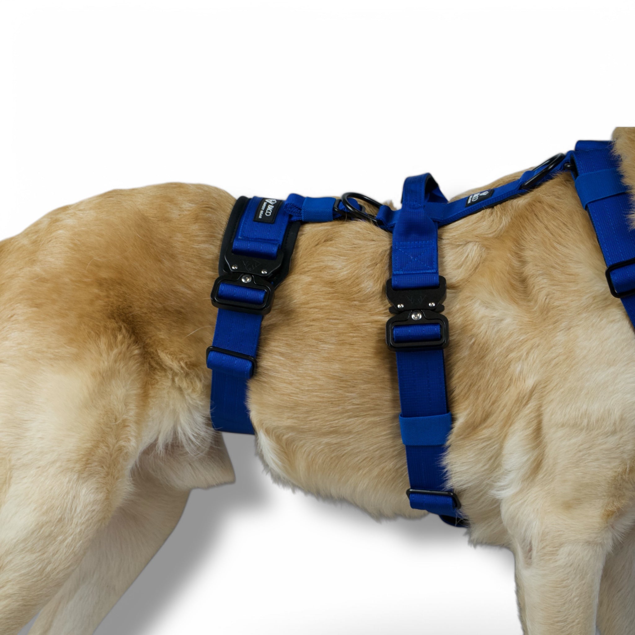 BACO DOG GEAR