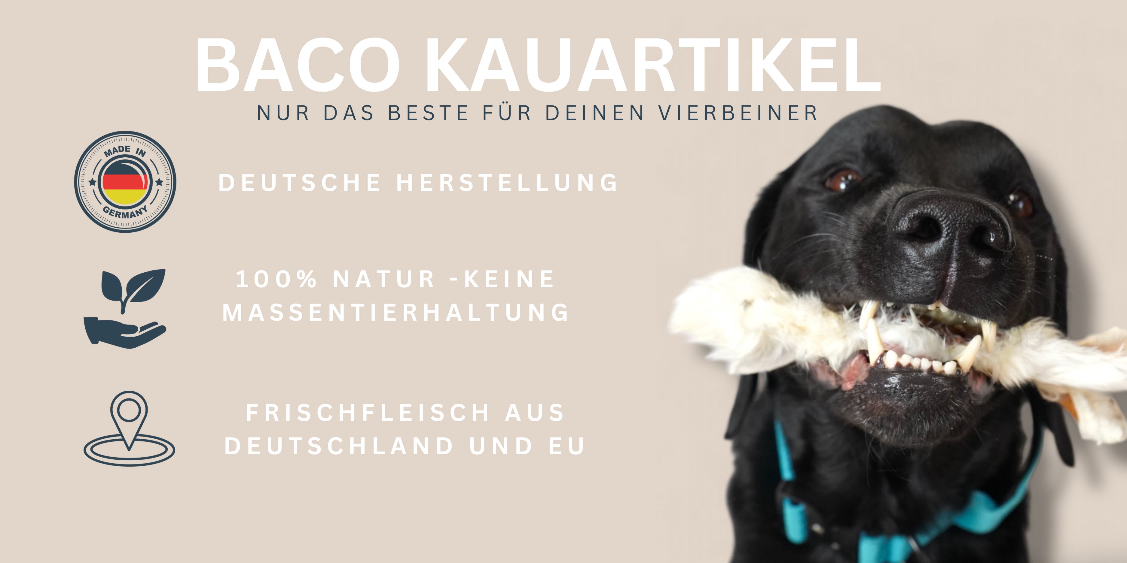 BACO DOG GEAR