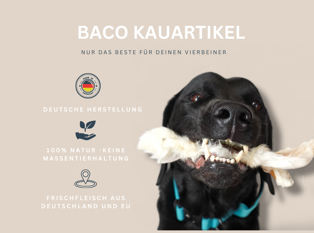 BACO DOG GEAR