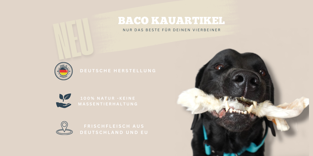 BACO DOG GEAR