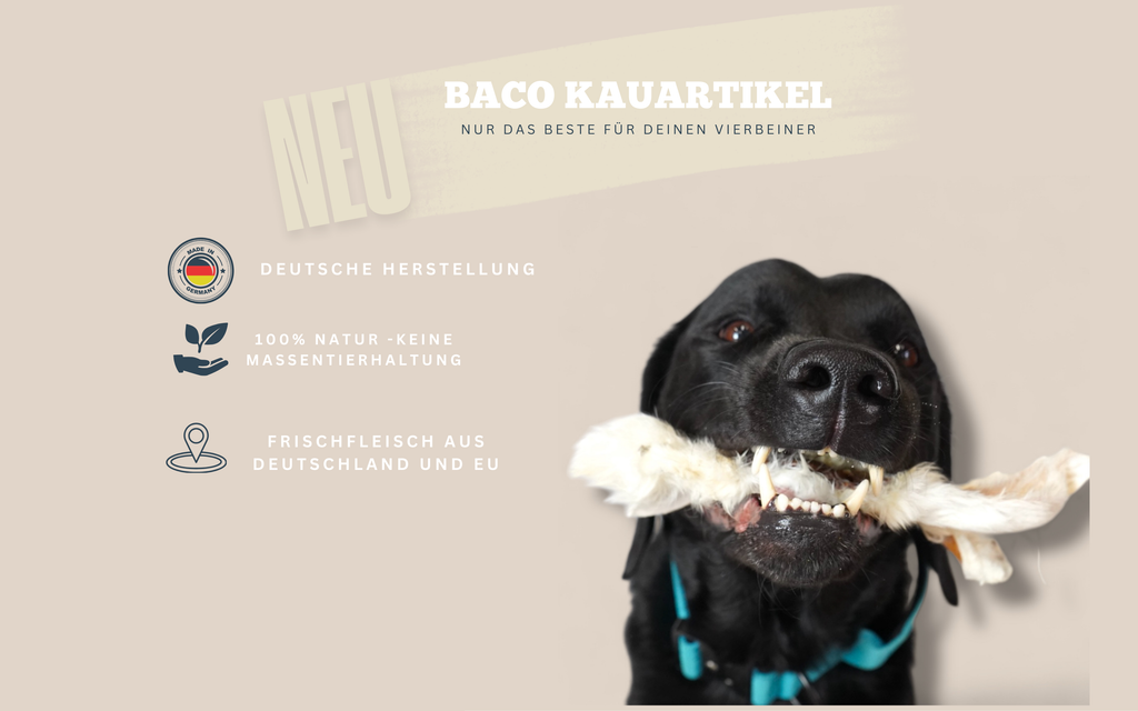 BACO DOG GEAR
