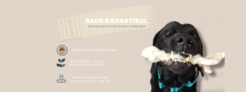 BACO DOG GEAR