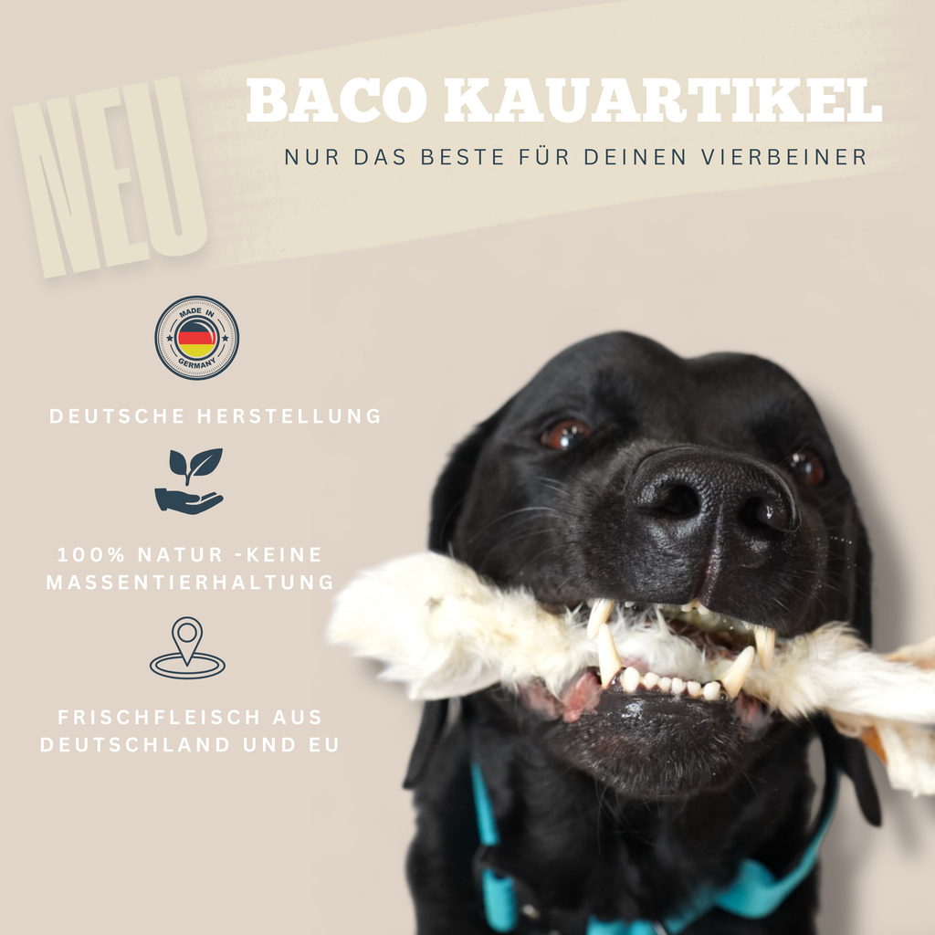 BACO DOG GEAR