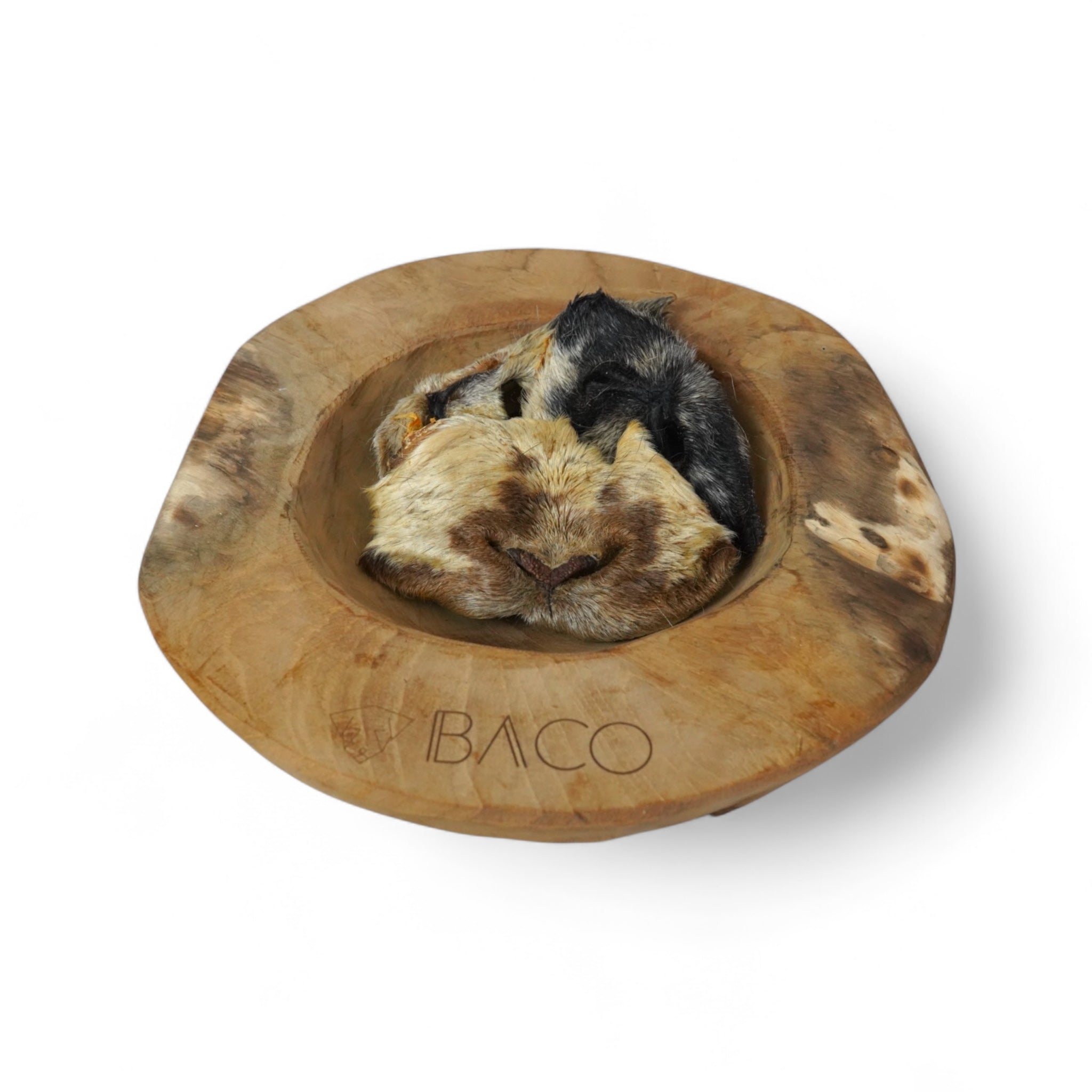 BACO DOG GEAR