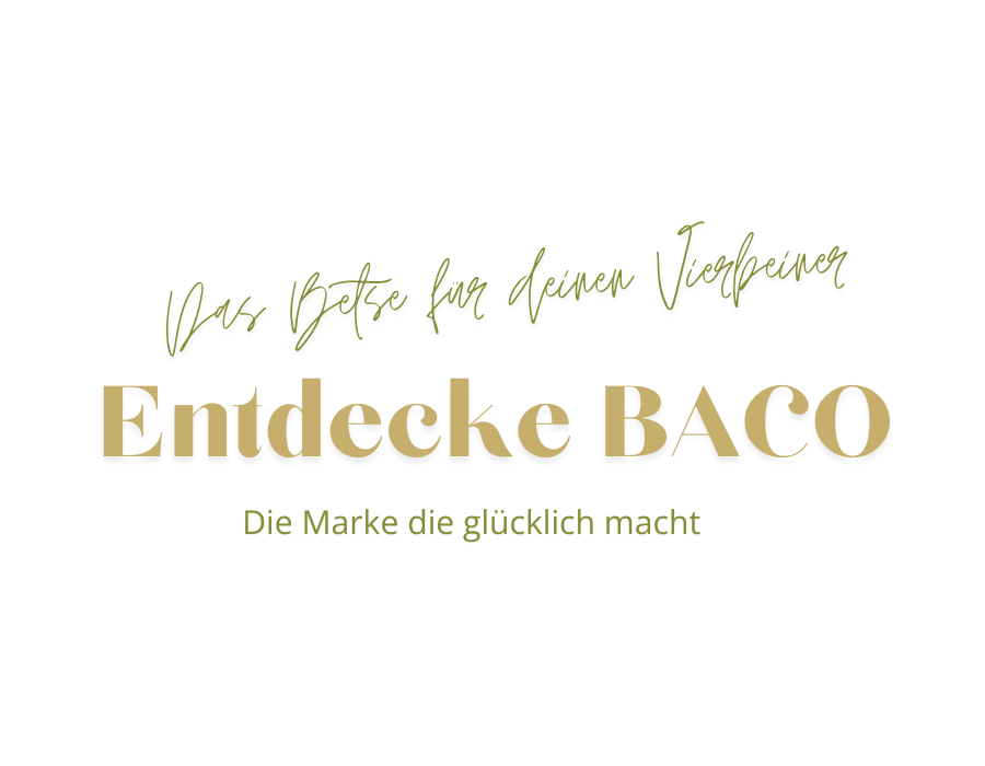 BACO DOG GEAR