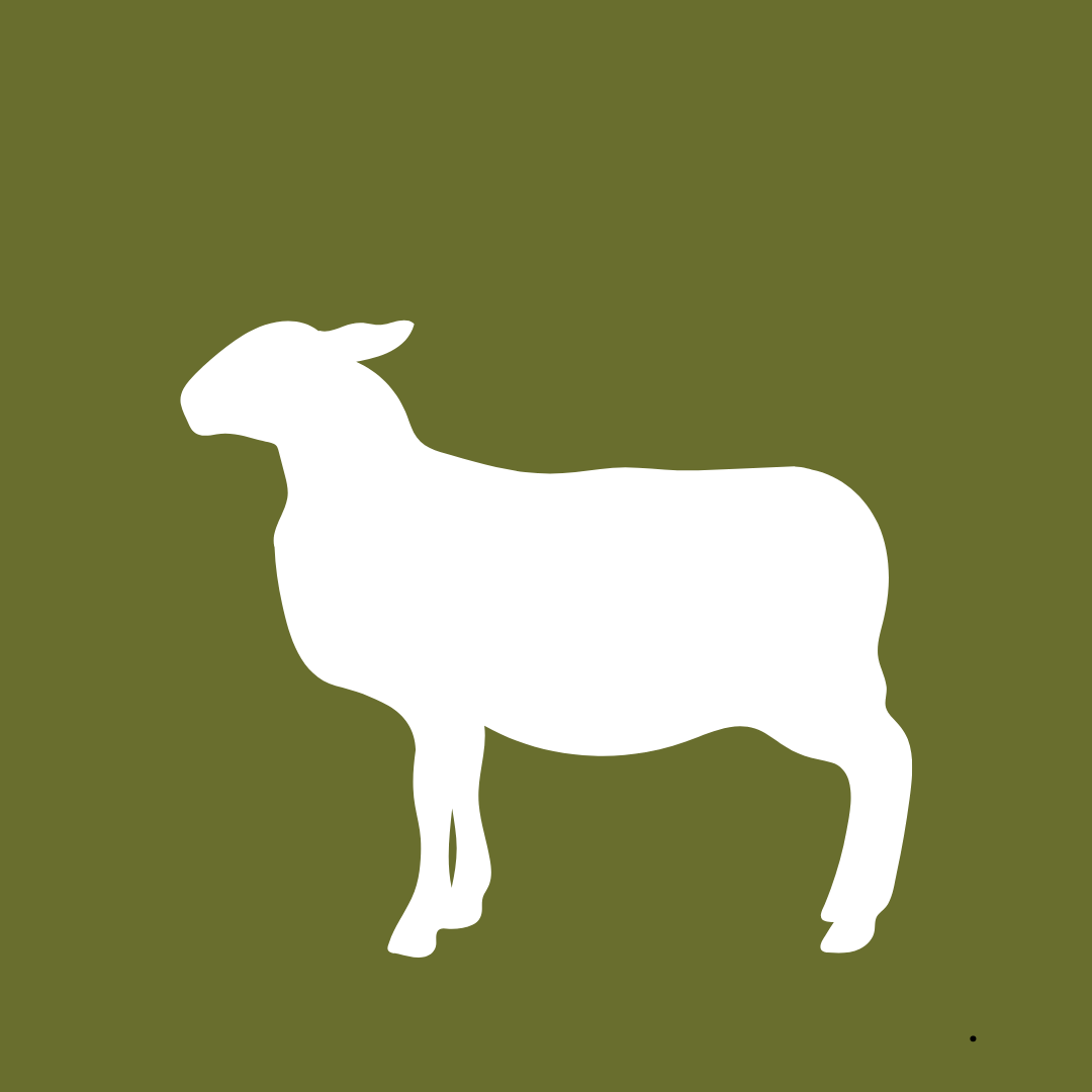 BACO DOG GEAR