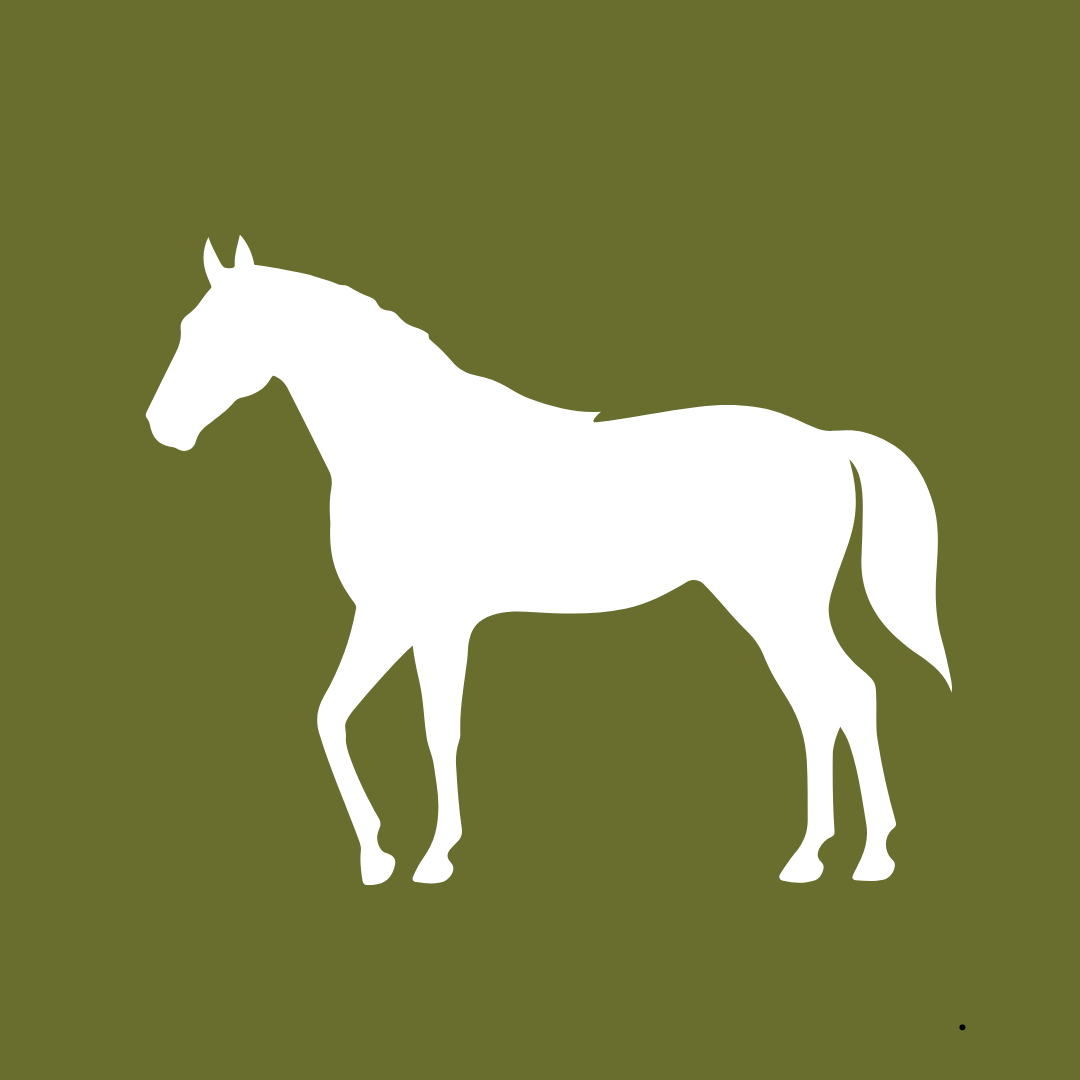 BACO DOG GEAR