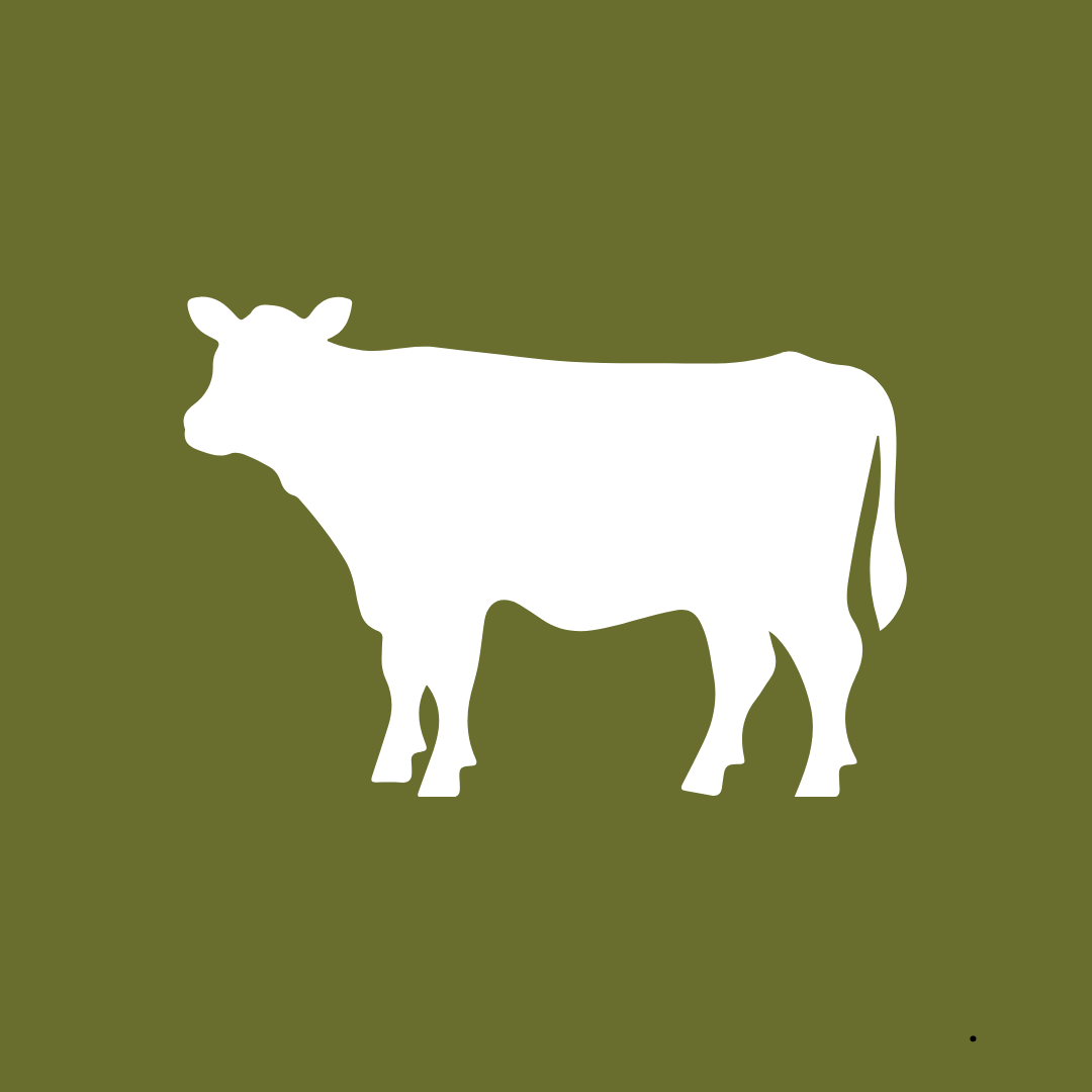 BACO DOG GEAR