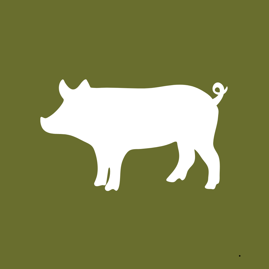 BACO DOG GEAR