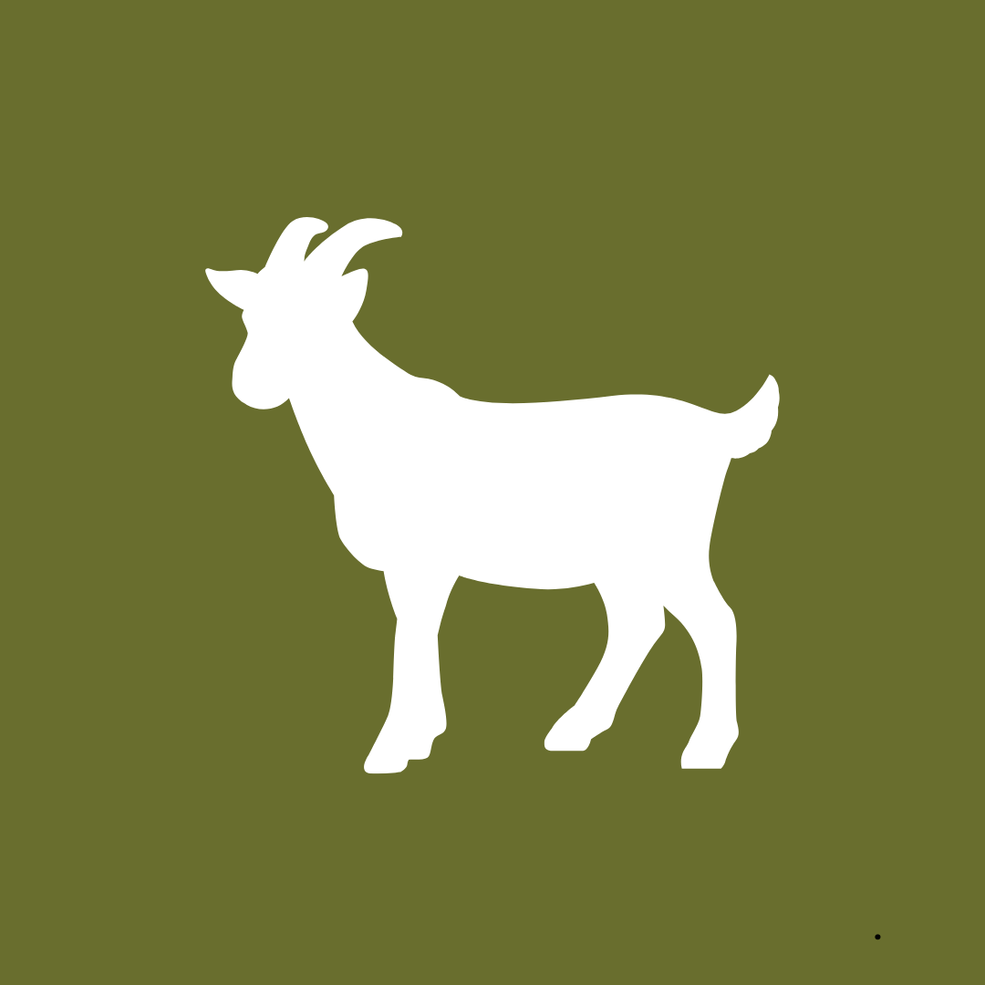 BACO DOG GEAR